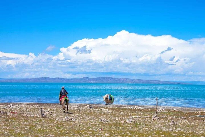 Tour di gruppo di 13 giorni della Via della Seta: Xinjiang, Gansu, Qinghai