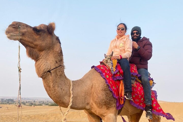 Desert Camp Stay-pakket van 1 nacht (Jeep+Camel+Hi-tea+Cultureel Evenement+Diner+B'Fast