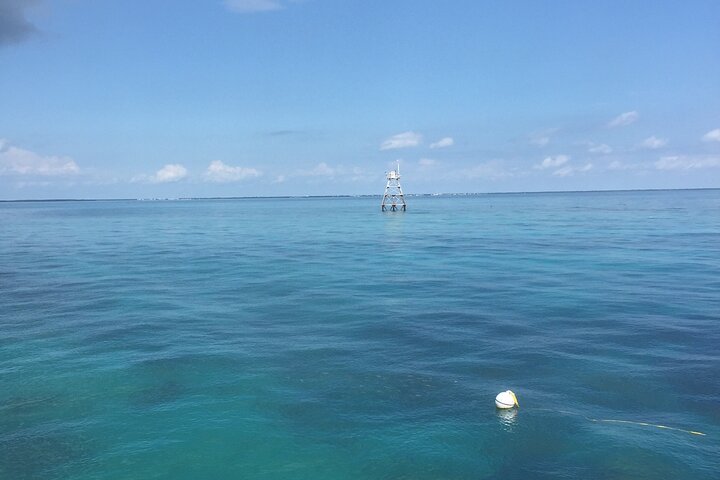 Aventure en bateau à fond de verre sur le récif corallien de Key Largo