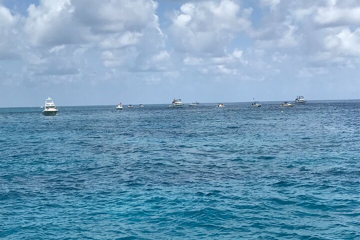 Aventure en bateau à fond de verre sur le récif corallien de Key Largo