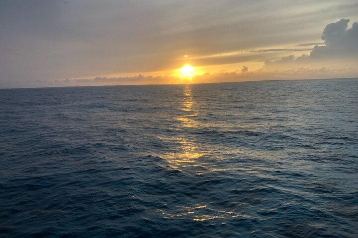 Aventure en bateau à fond de verre sur le récif corallien de Key Largo