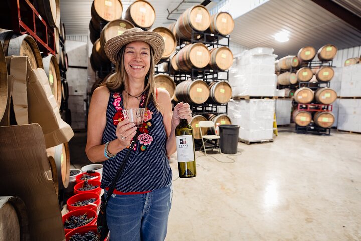 Carrello del vino di Fredericksburg - Aria condizionata e riscaldata!