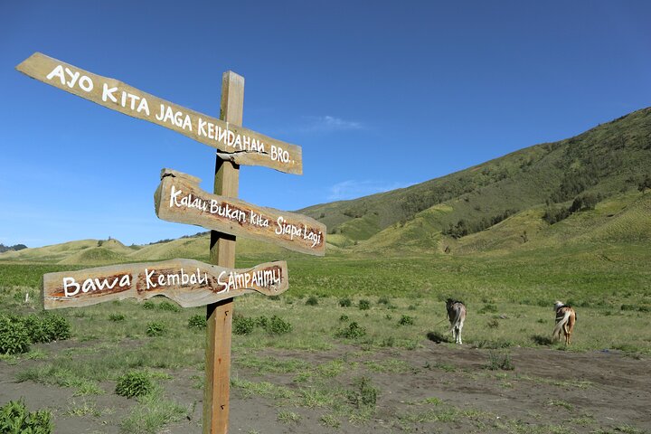 3D2N - Mount Bromo, Tumpak Sewu, Kawah Ijen Crater start from Malang or Surabaya