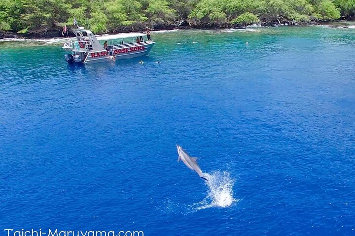Big Island : Capitaine Cook Snorkel sur un catamaran à moteur avec déjeuner