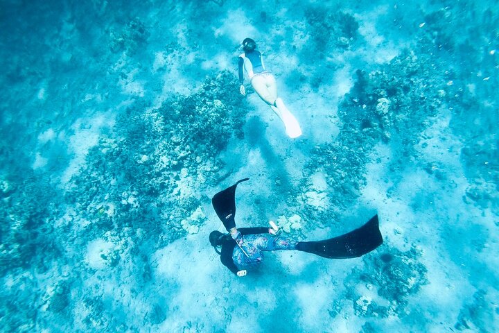 Big Island : Capitaine Cook Snorkel sur un catamaran à moteur avec déjeuner