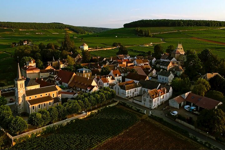 Tour de um dia da Rota do Grande Crus da Bourgogne - 14 degustações de vinhos em domínios