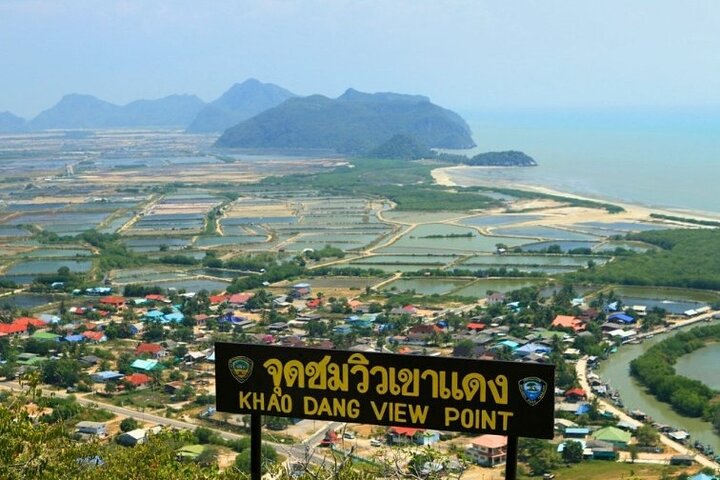 Randonnée dans la forêt de mangrove et promenade en bateau sur la rivière avec un guide privé de Hua Hin