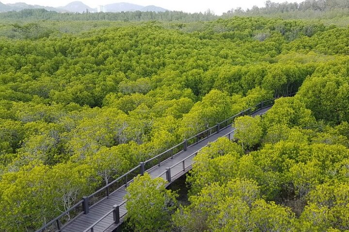 Randonnée dans la forêt de mangrove et promenade en bateau sur la rivière avec un guide privé de Hua Hin