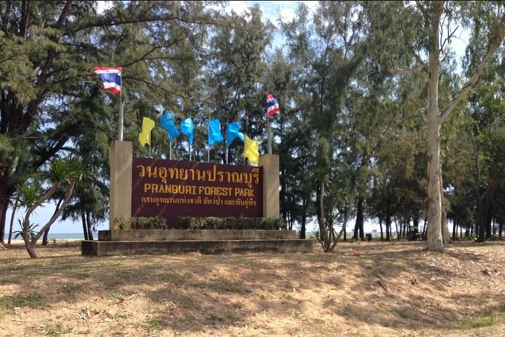 Randonnée dans la forêt de mangrove et promenade en bateau sur la rivière avec un guide privé de Hua Hin