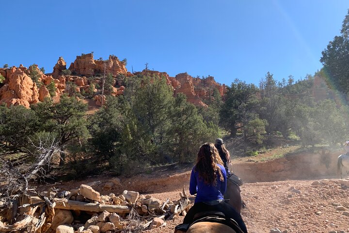 Ruby's Horseback Adventures Utah Halve dagrit