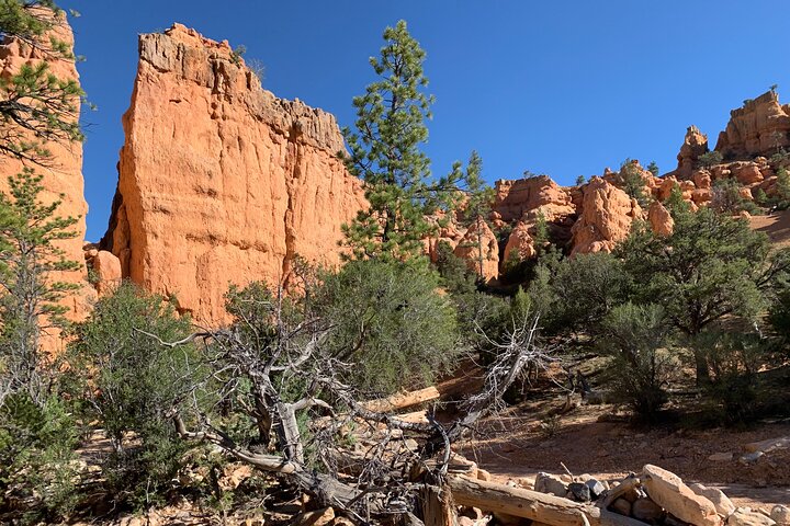 Ruby's Horseback Adventures Utah Halve dagrit