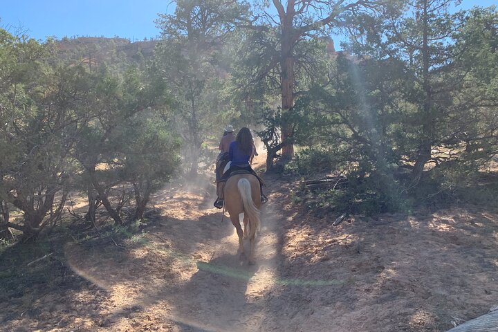 Ruby's Horseback Adventures Utah Halve dagrit
