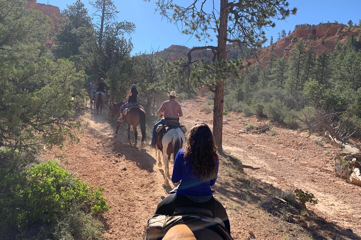 Ruby's Horseback Adventures Utah Halve dagrit