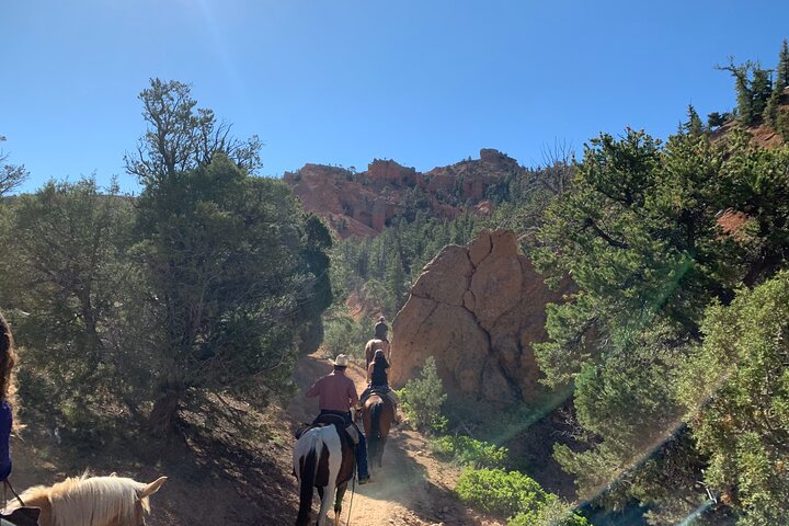 Ruby's Horseback Adventures Utah Halve dagrit