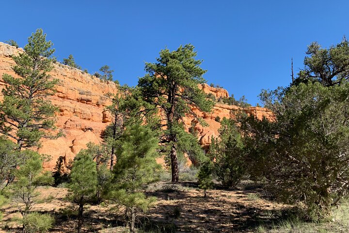 Ruby's Horseback Adventures Utah Halve dagrit