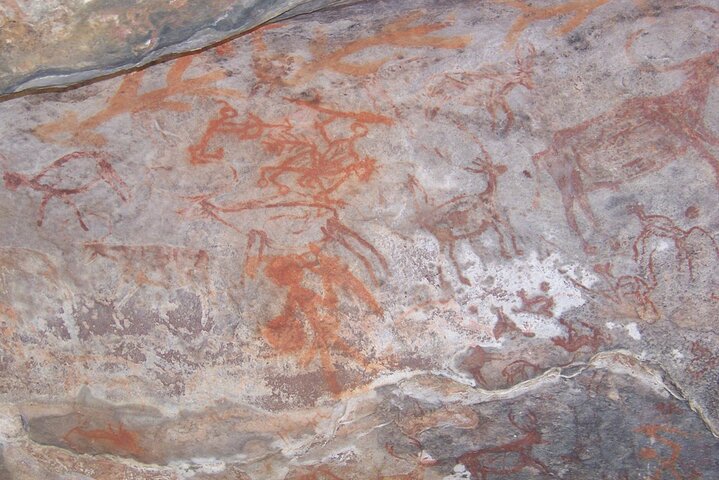 Tour privato di un'intera giornata alle grotte di Bhimbetka e Bhojpur di Bhopal