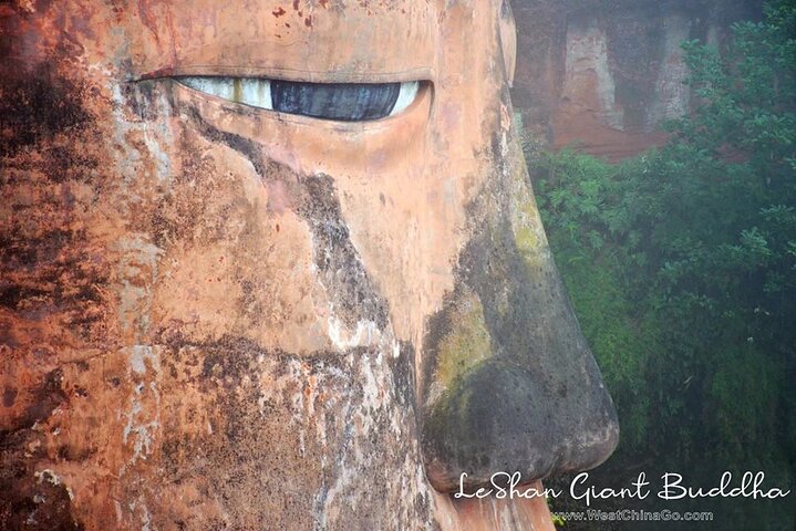 All-inclusive privétrip naar Chengdu Giant Panda Base en Leshan Giant Buddha