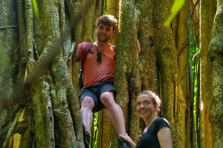 4-dages familietur med besøg på øen Cano og Corcovado