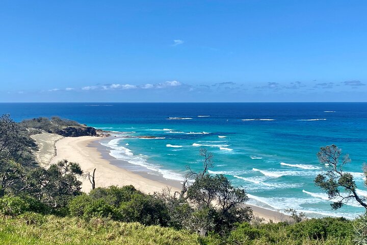 Excursión de aventura de vida salvaje por la isla North Stradbroke desde Brisbane