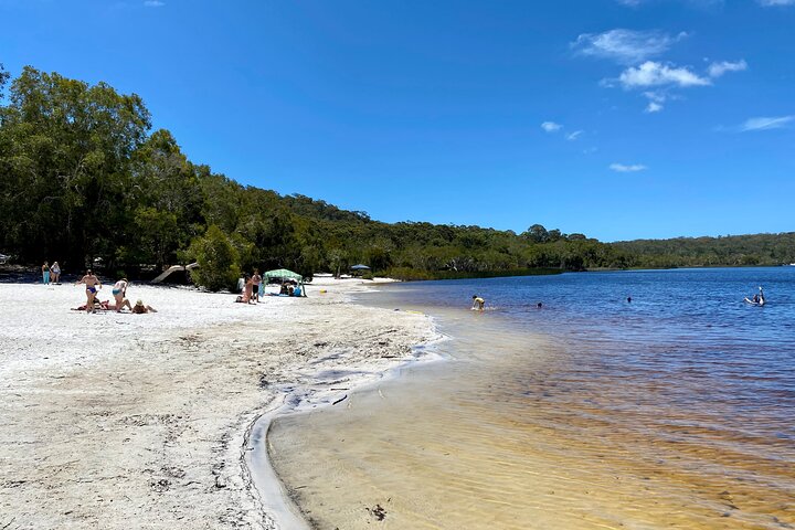 Excursión de aventura de vida salvaje por la isla North Stradbroke desde Brisbane