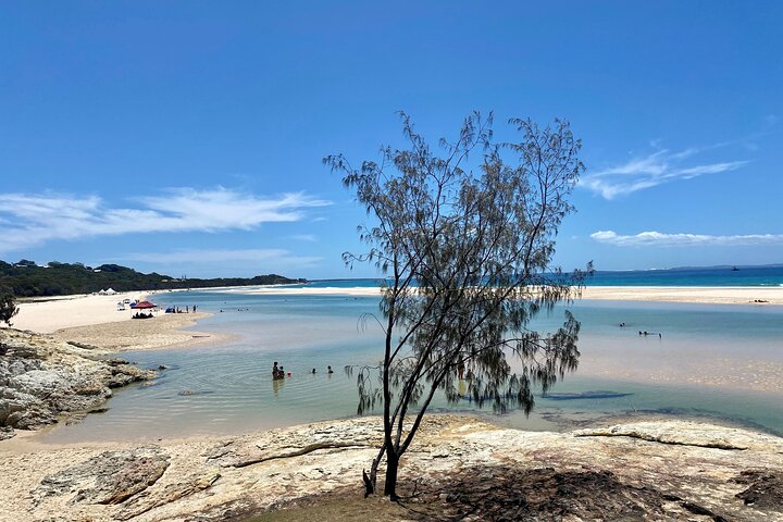 Excursión de aventura de vida salvaje por la isla North Stradbroke desde Brisbane