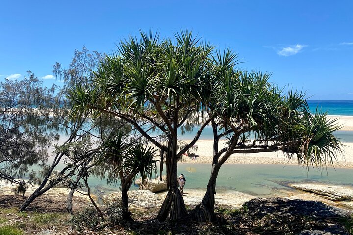 Excursión de aventura de vida salvaje por la isla North Stradbroke desde Brisbane