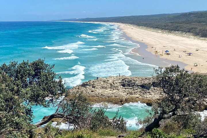 Excursión de aventura de vida salvaje por la isla North Stradbroke desde Brisbane