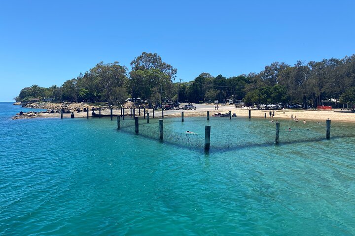 Excursión de aventura de vida salvaje por la isla North Stradbroke desde Brisbane