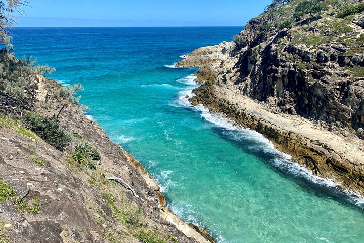 Excursión de aventura de vida salvaje por la isla North Stradbroke desde Brisbane