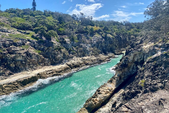 Excursión de aventura de vida salvaje por la isla North Stradbroke desde Brisbane