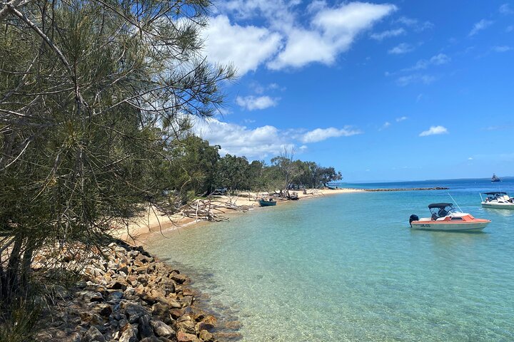 Excursión de aventura de vida salvaje por la isla North Stradbroke desde Brisbane