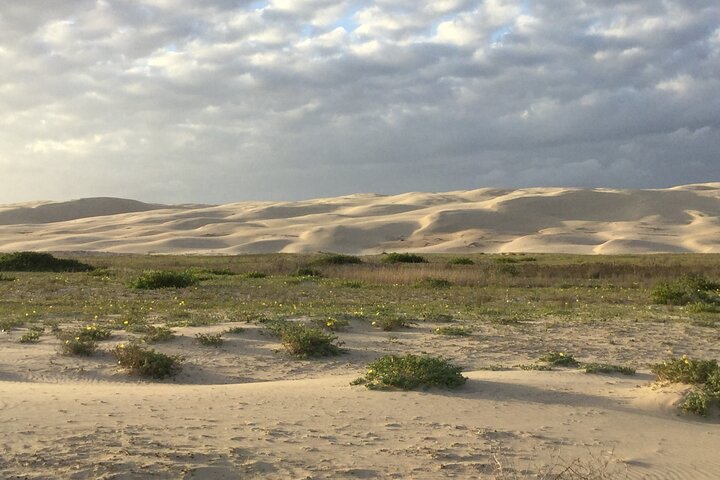 Tour de pasajeros en 4x4 por Port Stephens, playa y dunas de arena