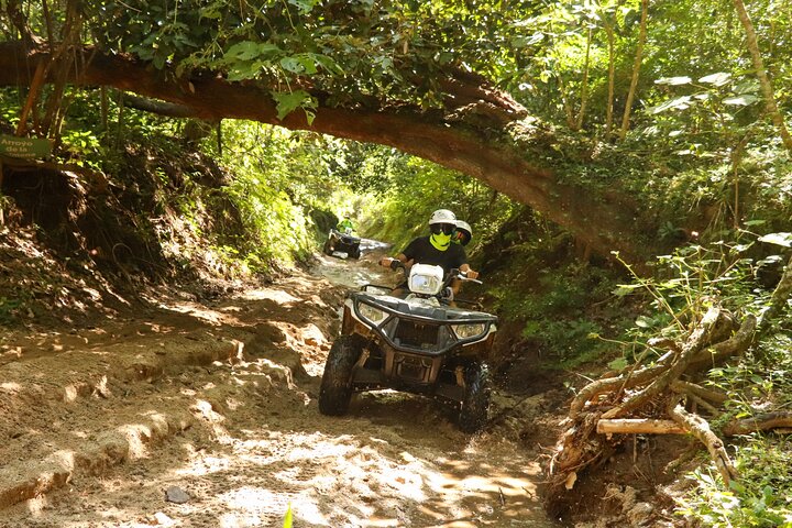 Restauranter i nærheten av El Mirador Jungle ATV Tour