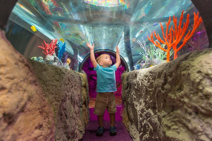 Entrada al acuario SEA LIFE Minnesota en Mall of America