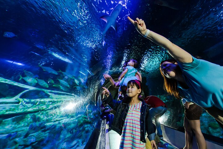 Entrada al acuario SEA LIFE Minnesota en Mall of America
