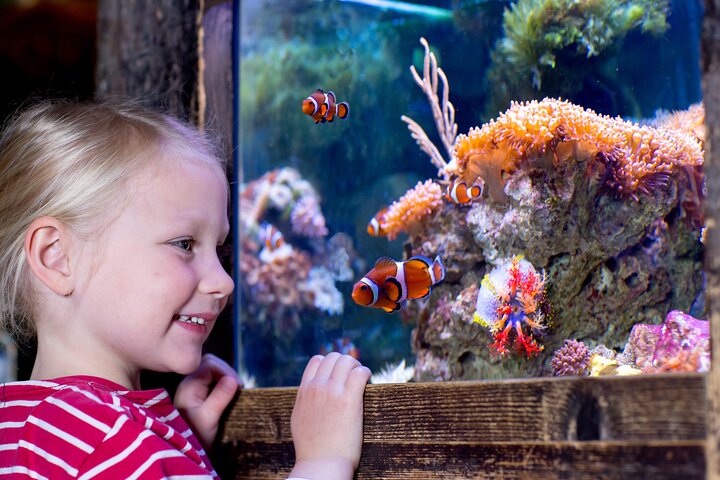 Billet d'entrée à l'aquarium SEA LIFE Kansas City