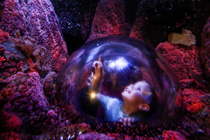 Entrada al acuario SEA LIFE Minnesota en Mall of America