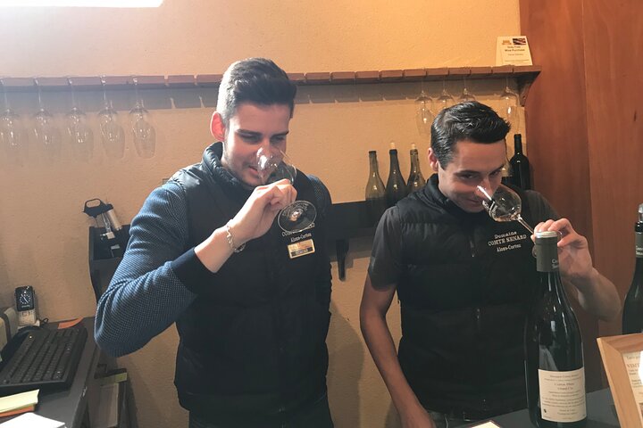 Tour privato di un giorno intero nella regione del vino della Borgogna da Beaune