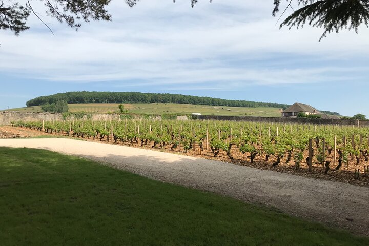 Tour privato di un giorno intero nella regione del vino della Borgogna da Beaune