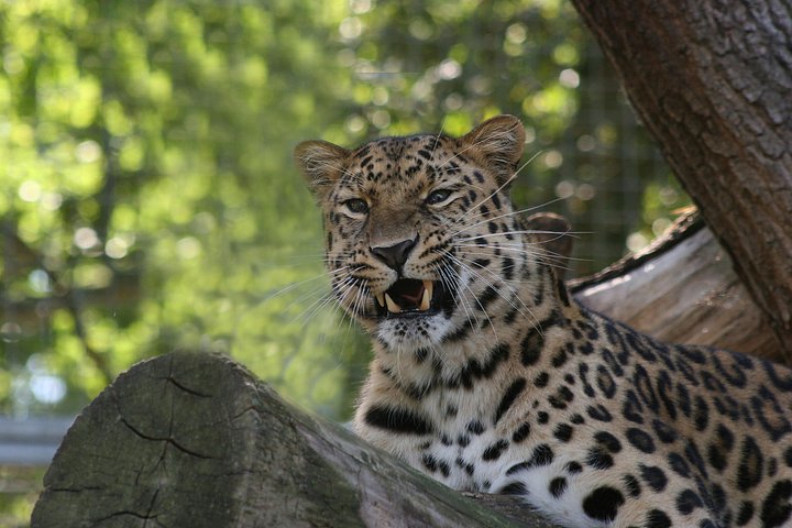 Private Day Trip to Yala National Park