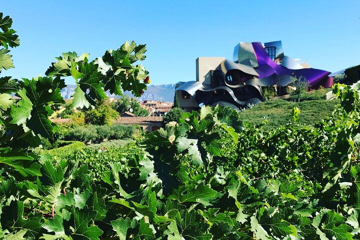 Tour architettonico del vino della Rioja: Marqués de Riscal & Ysios (Bilbao)