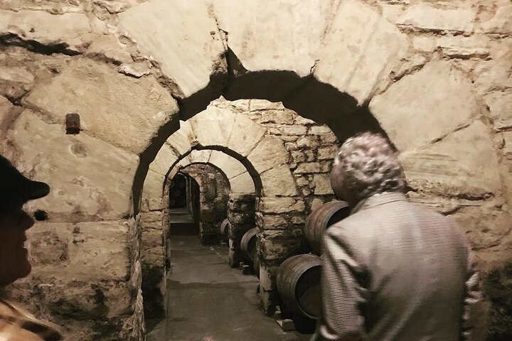 Tour architettonico del vino della Rioja: Marqués de Riscal & Ysios (Bilbao)