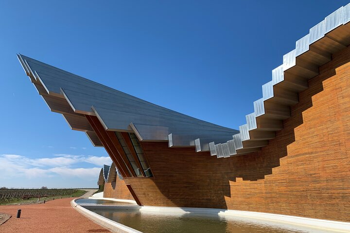 Tour architettonico del vino della Rioja: Marqués de Riscal & Ysios (Bilbao)