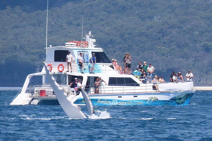 Hoteller i nærheden af Freedom Whale Watch Cruise - Hervey Bay