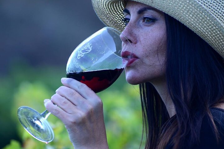 Besök Bodegas Teneguía vingård i La Palma med vinprovning
