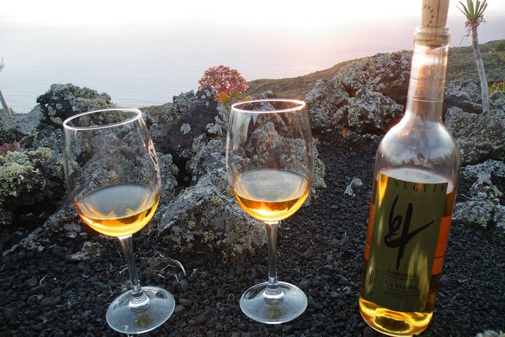 Besök Bodegas Teneguía vingård i La Palma med vinprovning