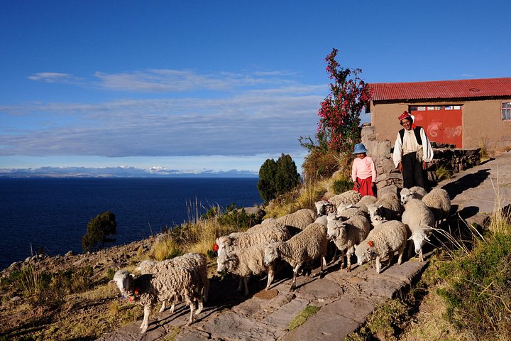 Uros Schilf schwimmende Inseln & Taquile Insel Titicaca Puno Ganztags