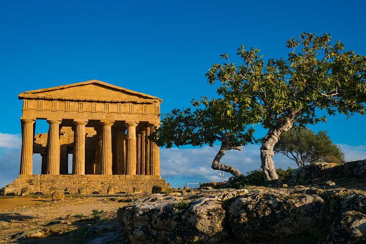 Agrigento Valley of the Temples Privat arkeologisk guidet tur