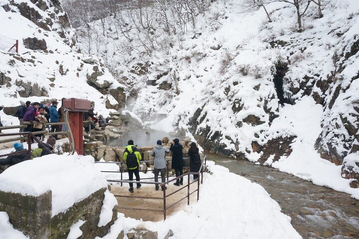 1 - Dag Snow Monkeys, Zenko-ji Temple & Sake i Nagano