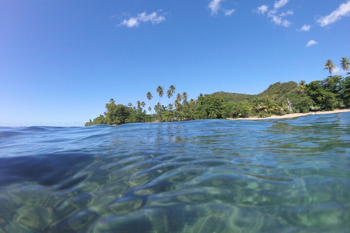 Aventura de mergulho com snorkel em recifes de coral com fotos e vídeos